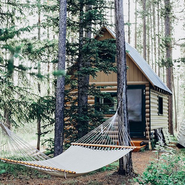 A small, inviting cabin surrounded by trees, complete with a hammock for a serene glamping experience.