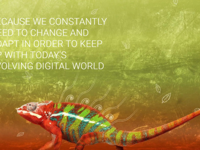 green and red gecko on a gringe background